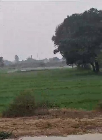 Plot Area in  Land at Sikandrabad – for Sale