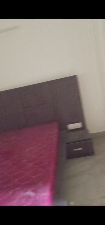 Furnished Amenities in 1 BHK Builder Floor at Kalkaji – for Rent