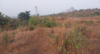 Plot For Resale in Maval Lonavla  8102472