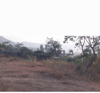 Plot For Resale in Maval Lonavla  8102472