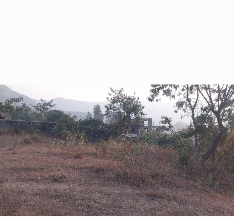 undefined, maval  5 Acre Plot In Maval Lonavla 8102472