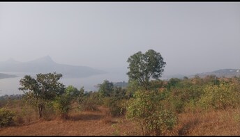 Plot For Resale in Pavana Lake Lonavla  8102493