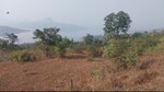 12 Acre Plot in Pawna Lake Lonavla