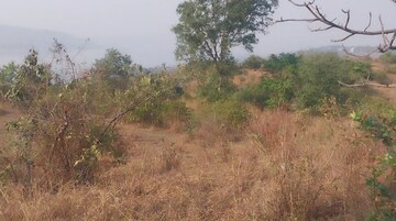 Plot Area in  Plot at Pavana Lake – for Sale