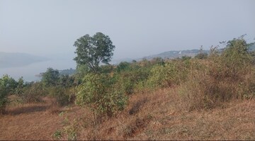 Plot Area in  Plot at Pavana Lake – for Sale