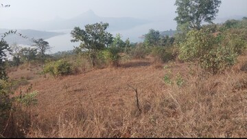 Plot Area in  Plot at Pavana Lake – for Sale