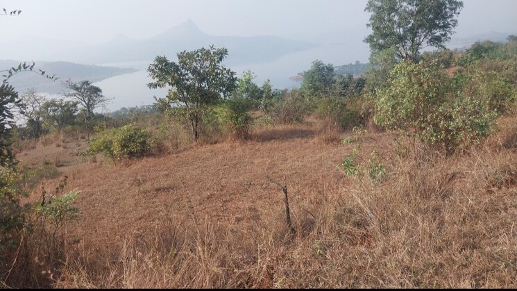 undefined, pavana lake  12 Acre Plot In Pavana Lake Lonavla 8102507