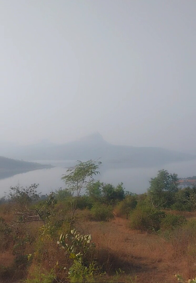 undefined, pavana lake  12 Acre Plot In Pavana Lake Lonavla 8102507