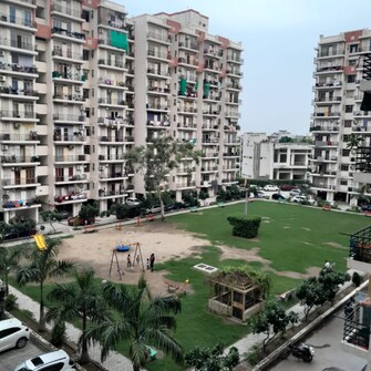 1 BHK Apartment For Rent in Lotus Homz New Palam Vihar Phase 3 Gurgaon  8102570