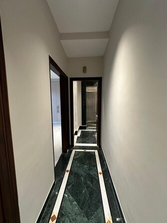 4 BHK Builder Floor For Rent in Safdarjung Enclave Delhi  8102604