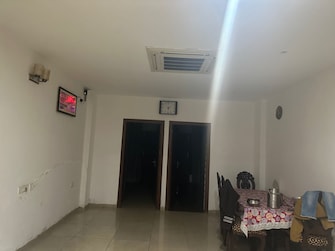 3 BHK Apartment For Rent in Sector 74 A Mohali  8102786