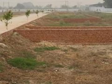 Plot For Resale in Upsidc Site B Greater Noida  8102863