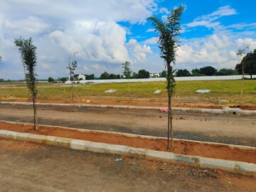 Plot For Resale in Upsidc Site B Greater Noida  8102827