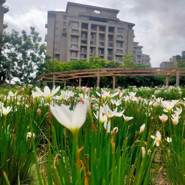 Exterior View, skyi-songbirds 2 Bedroom 825 Sq.Ft. Apartment In Bhugaon Pune 8102942