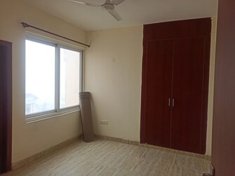 2 BHK Apartment For Rent in Urbtech Xaviers Sector 168 Noida  8102997