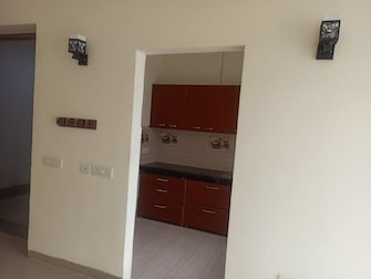 2 BHK Apartment For Rent in Urbtech Xaviers Sector 168 Noida  8102997