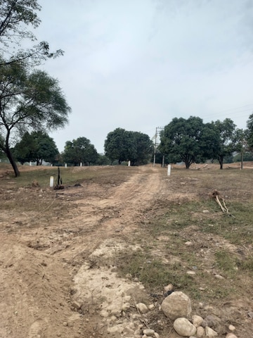 Plot For Resale in Sector 1 Chandigarh  8103015