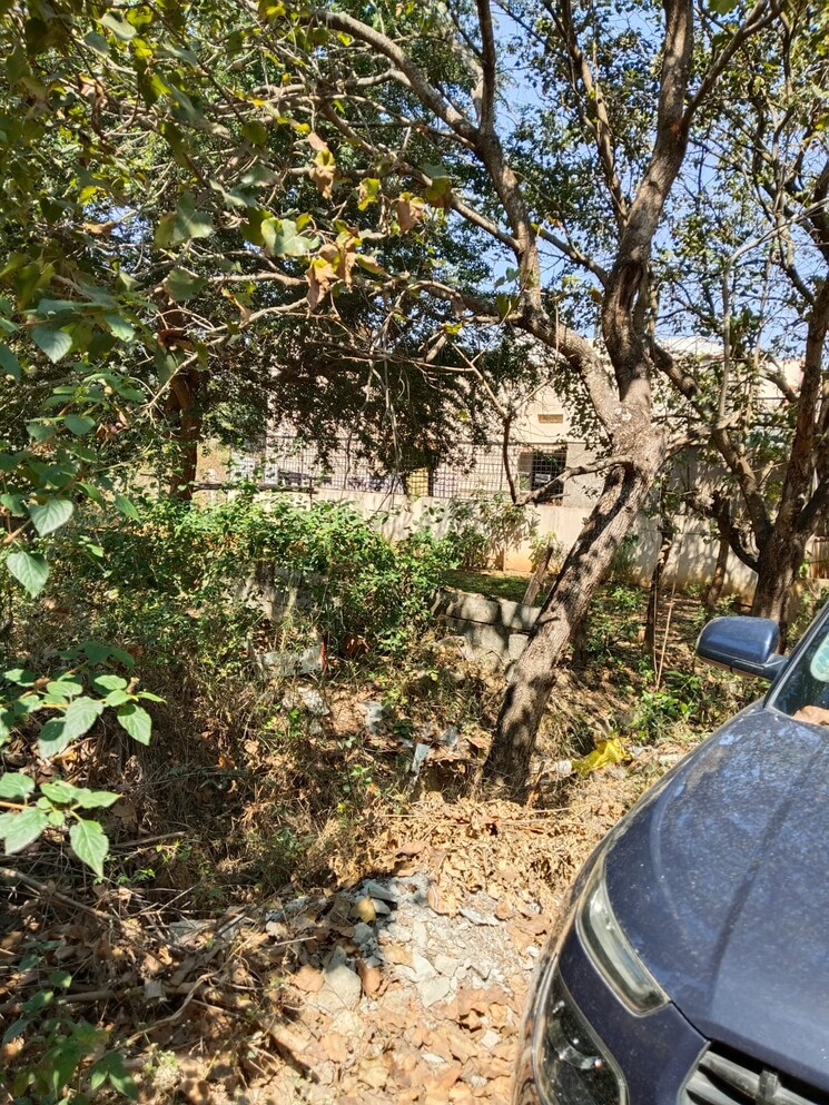 Garden, akshayanagar  1500 Sq.Ft. Plot In Akshayanagar Bangalore 8103227