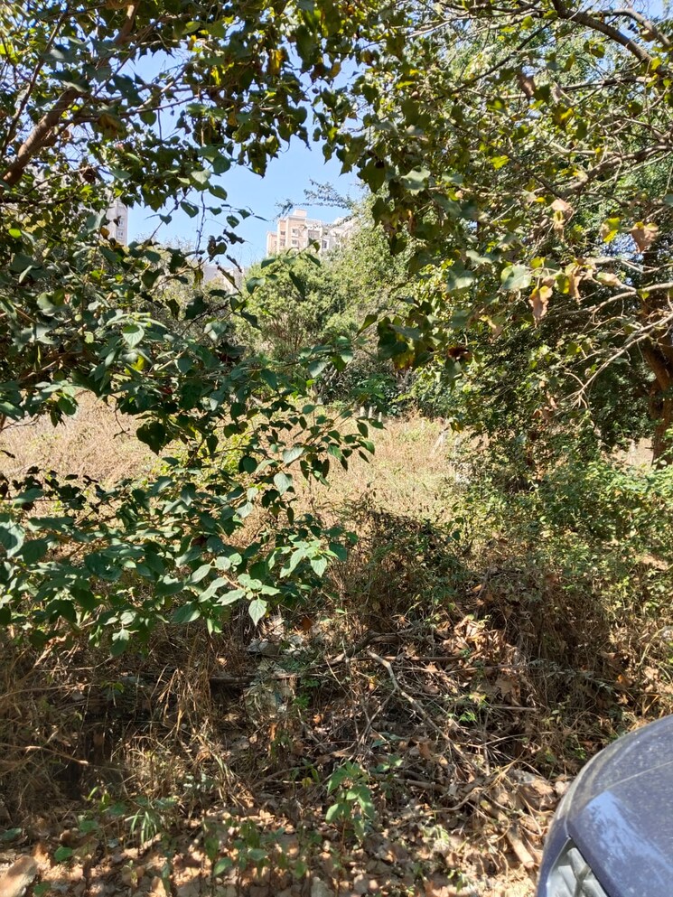 undefined, akshayanagar  1500 Sq.Ft. Plot In Akshayanagar Bangalore 8103227