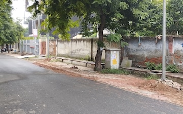 Plot For Sale in Sector 145