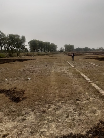 Plot For Resale in Shastri Nagar  Bahadurgarh  8103273