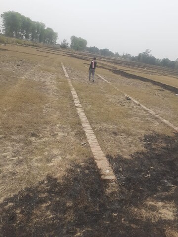 Plot Area in  Plot at Shastri Nagar  – for Sale