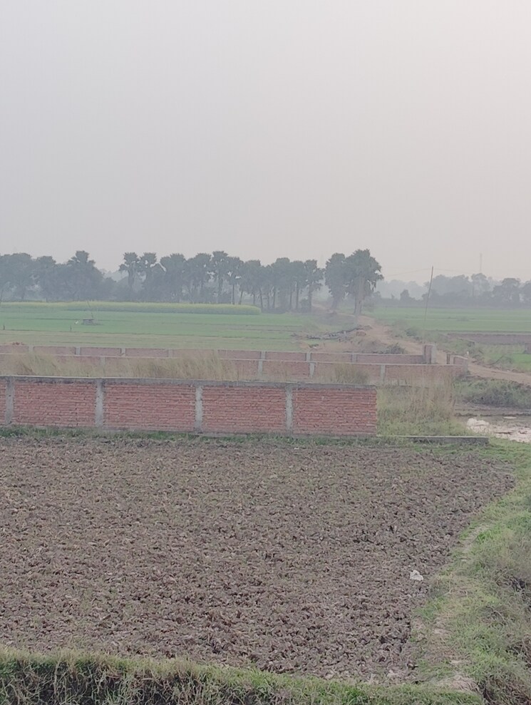 undefined, bakerganj Commercial Land 1361 Sq.Ft. In Bakerganj Patna 8103462