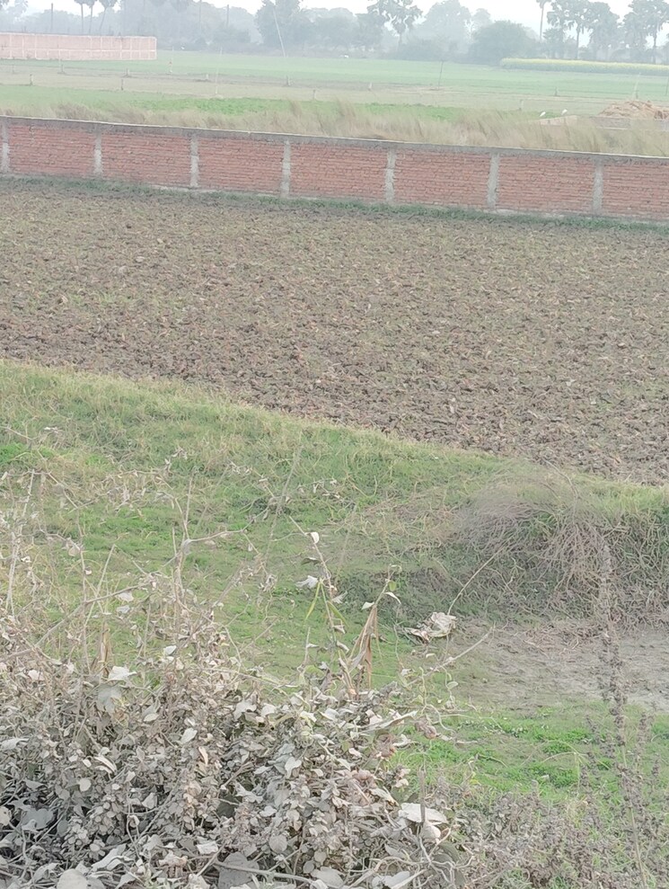 undefined, bakerganj Commercial Land 1361 Sq.Ft. In Bakerganj Patna 8103462