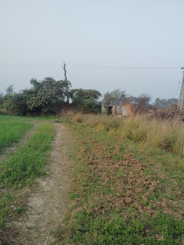   Land at Bakerganj – for Sale
