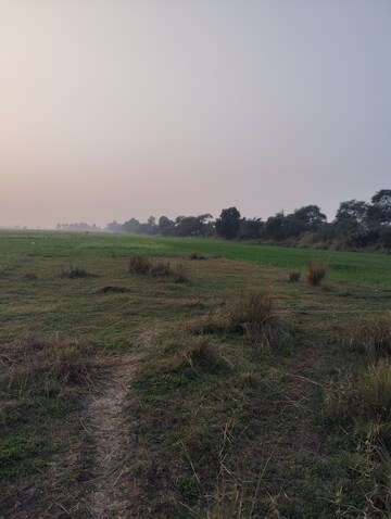 Plot Area in  Land at Bakerganj – for Sale