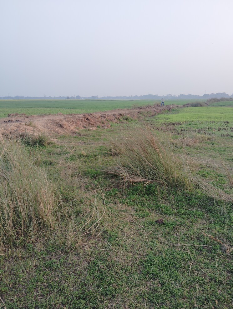 Exterior View, bakerganj Commercial Land 1361 Sq.Ft. In Bakerganj Patna 8103462