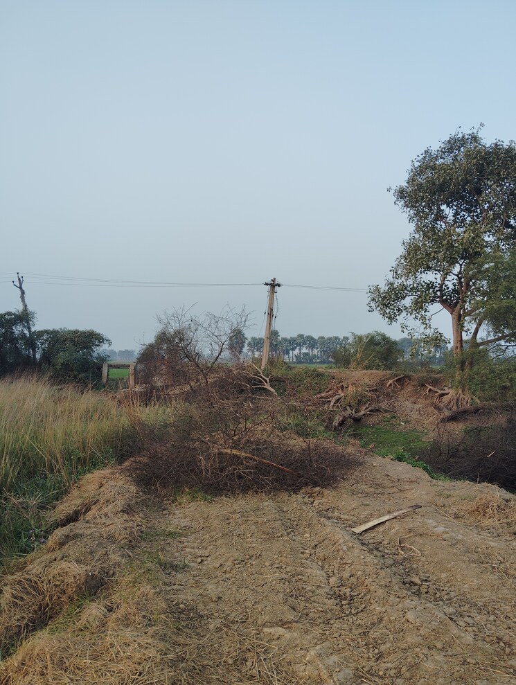 Nearby, bakerganj Commercial Land 1361 Sq.Ft. In Bakerganj Patna 8103462