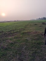 1361 Sq.Ft. Land in Bakerganj