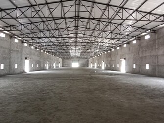 Commercial Warehouse 75000 Sq.Ft. For Rent in Sirsa Main Road Sirsa  8103416