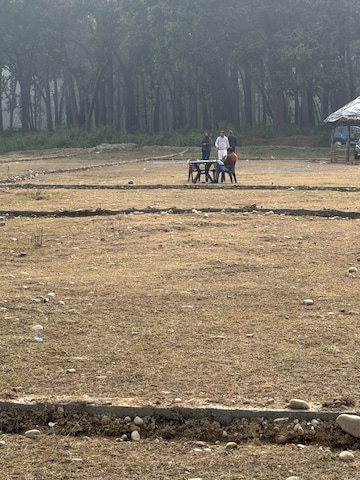  Plot For Sale in Shimla Bypass Road