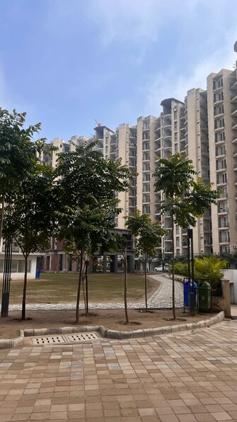 2 BHK Apartment For Resale in The Address Mullanpur North Mullanpur Chandigarh  8103560