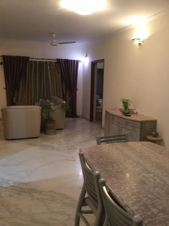 2 BHK Apartment For Rent in Wellington Mews Koregaon Pune  8103589