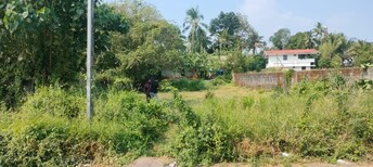 Plot For Resale in Kuttanellur Thrissur  8103588