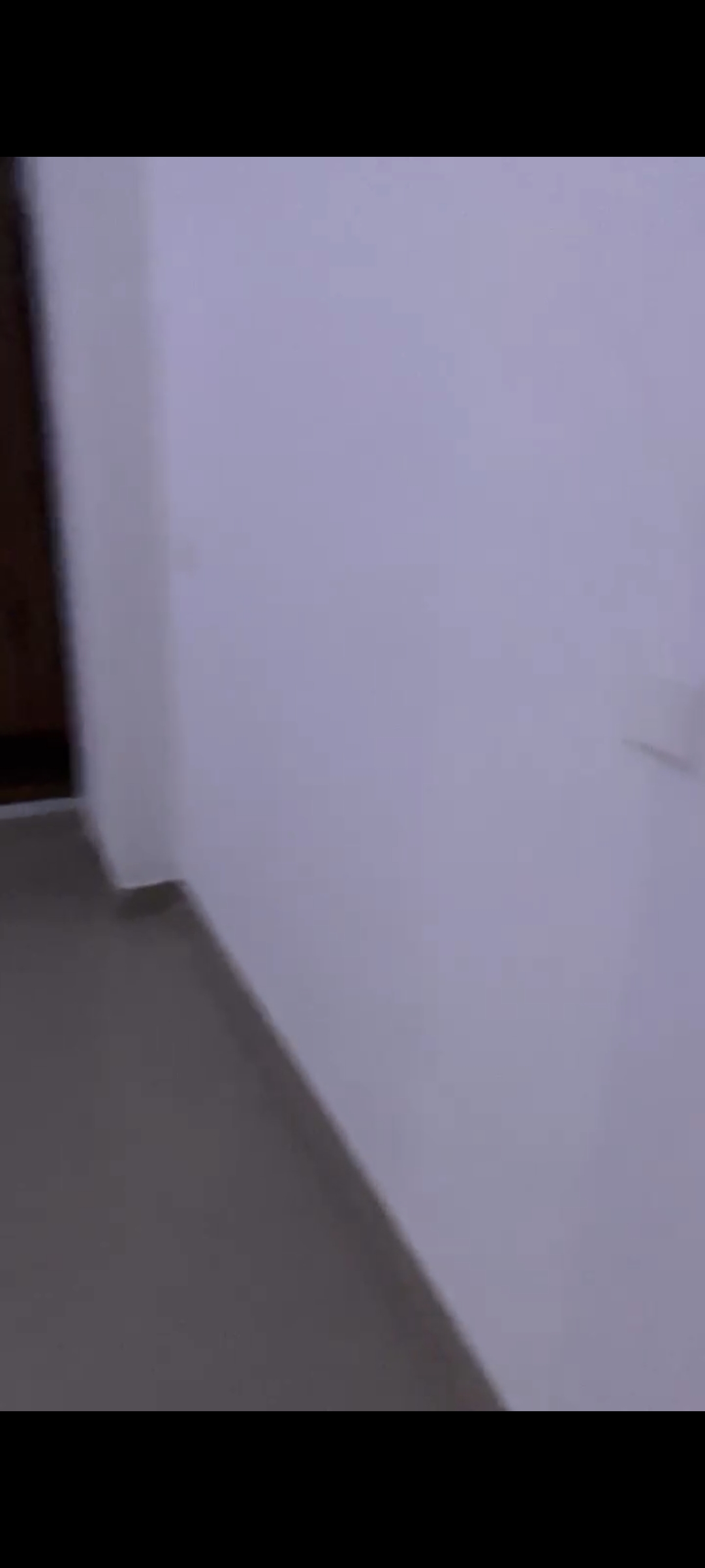 3 BHK Apartment For Sale in AFOWO Raksha Addela