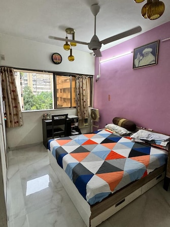 1 BHK Apartment For Rent in Jamuna Sagar Colaba Mumbai  8103897