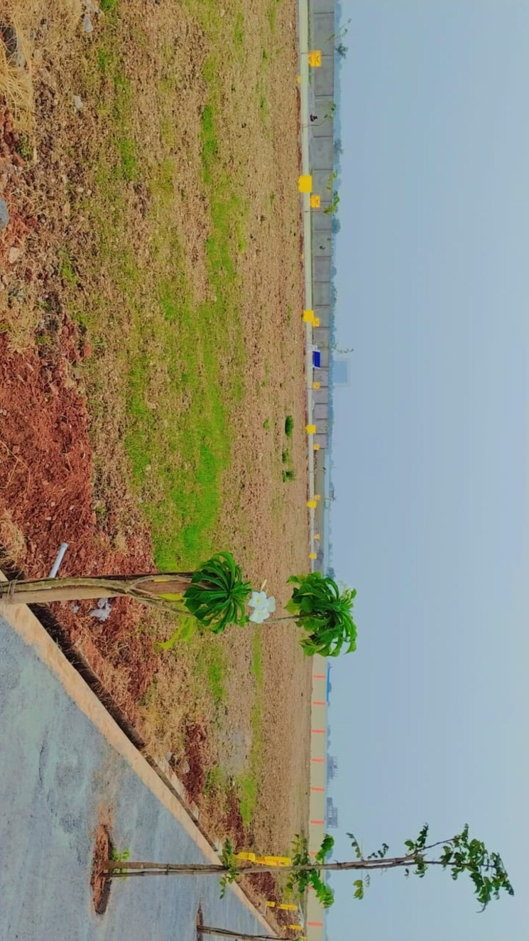 Garden, lam  183 Sq.Yd. Plot In Lam Guntur 8103982