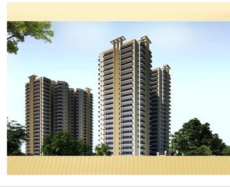 3 BHK Apartment For Resale in Casa Woodstock Sector 16c Greater Noida Greater Noida  8103951