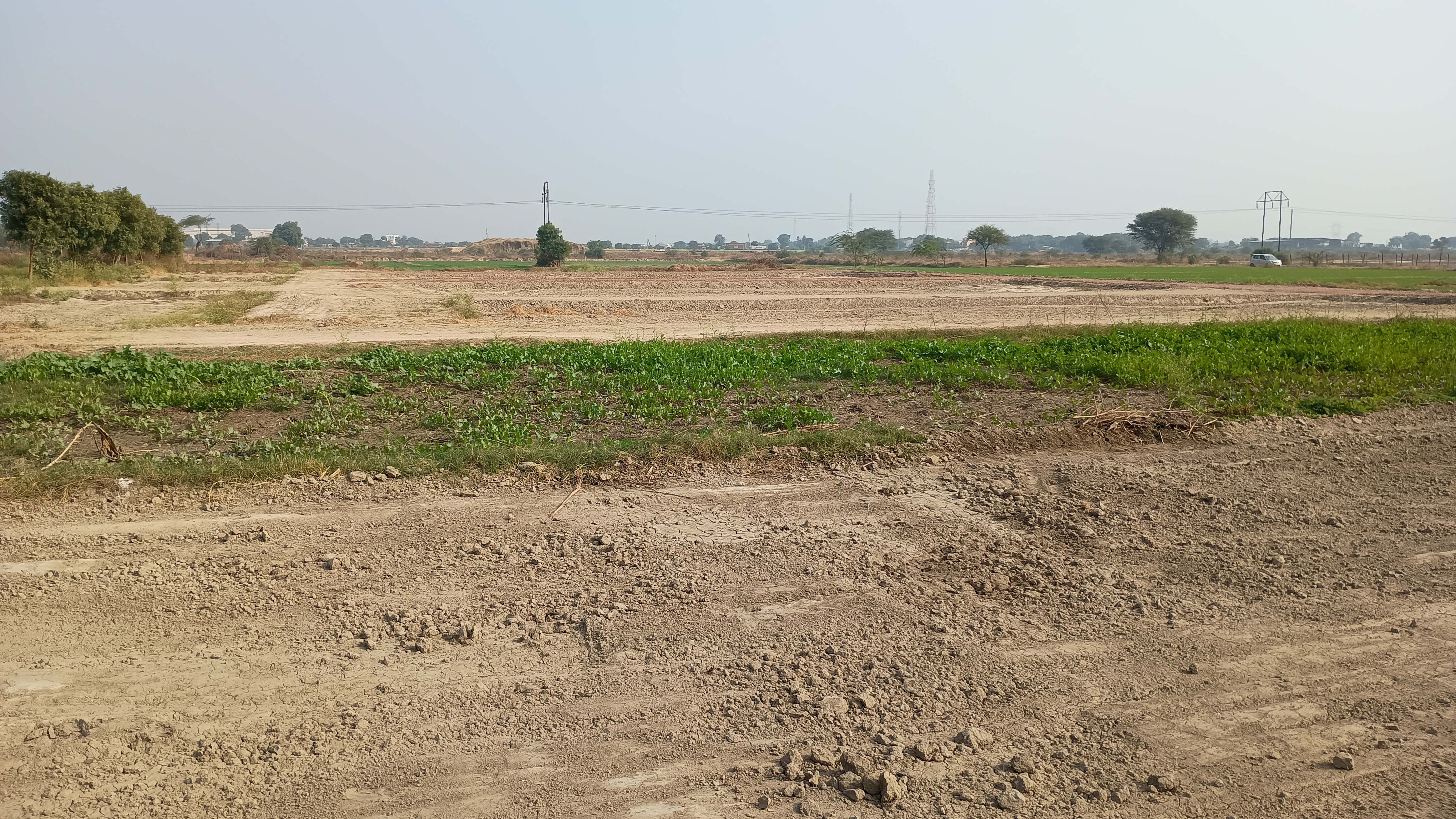 Plot For Sale in Mvn University 