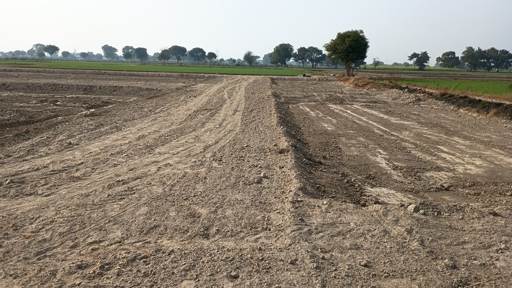 undefined, amarpur  400 Sq.Yd. Plot In Amarpur Palwal 8104007