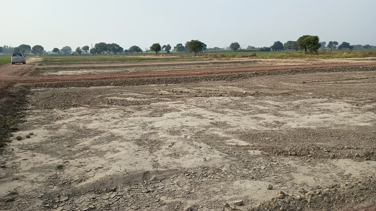 undefined, amarpur  400 Sq.Yd. Plot In Amarpur Palwal 8104007