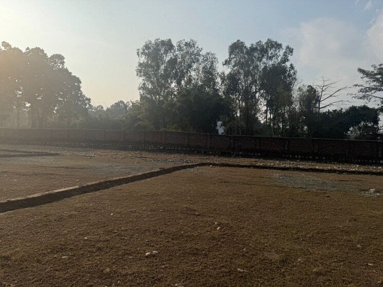 undefined, ram vihar  100 Sq.Yd. Plot In Ram Vihar Dehradun 8104075