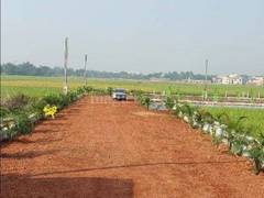 Plot For Sale in Jewar Road Radisson Hotel