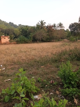 Plot For Resale in Kodibag Karwar  8104170