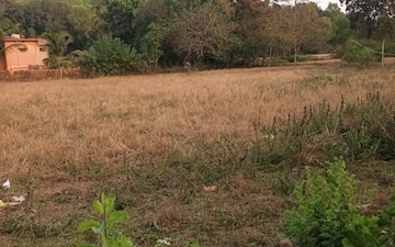 Plot For Sale in Kodibag