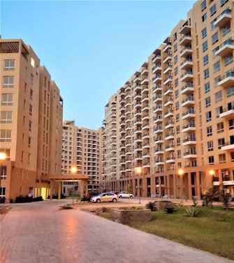 3 BHK Apartment For Resale in Sector 105 Mohali  8104178